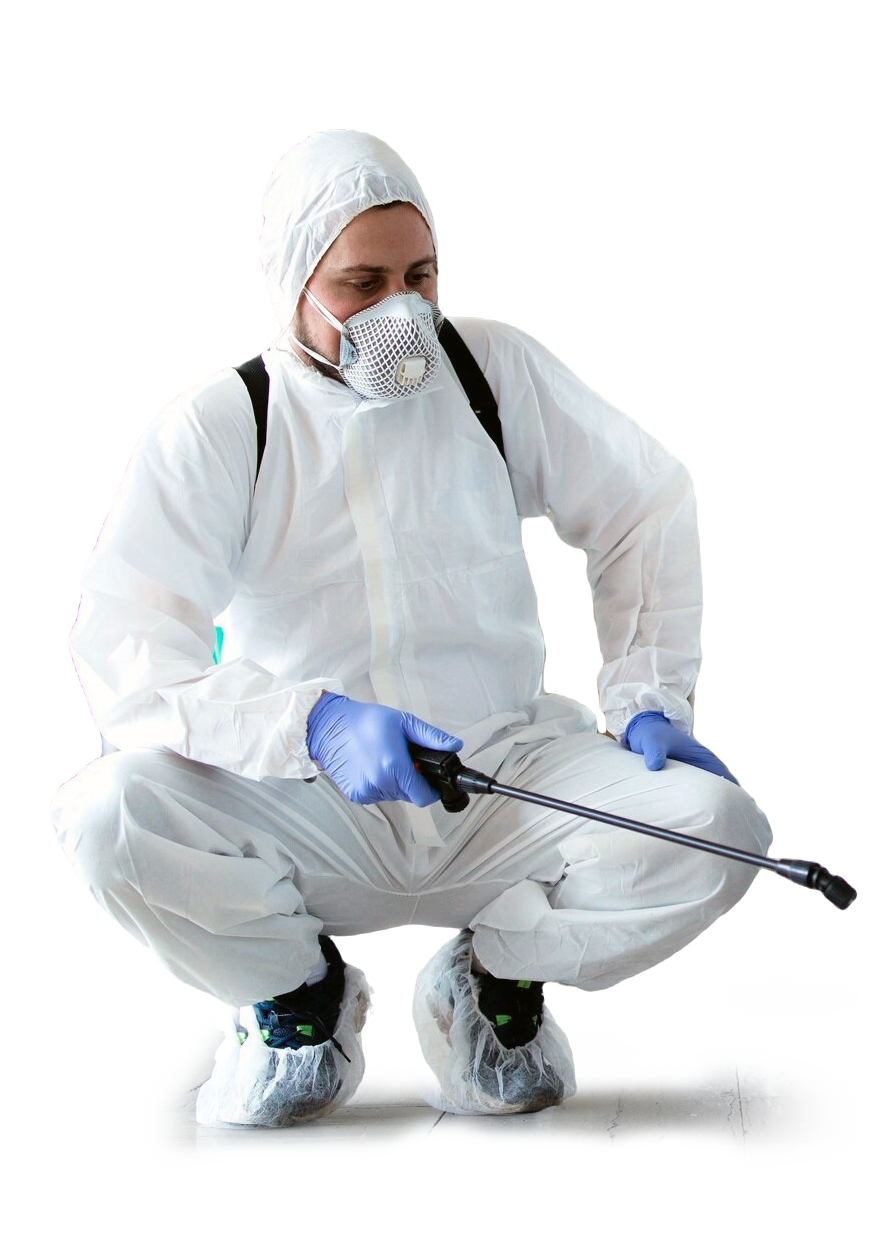 Основное изображение