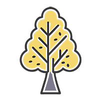 Лечение деревьев